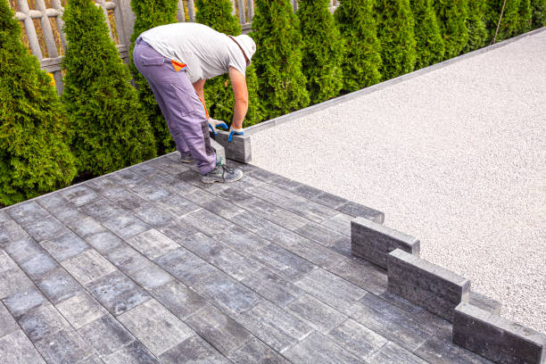 Best Professional Driveway Pavers  in Zephyrhills, FL